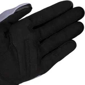 Imagem 5 de Luva Alpinestars Reef V2 Cinza/Preto/Branco